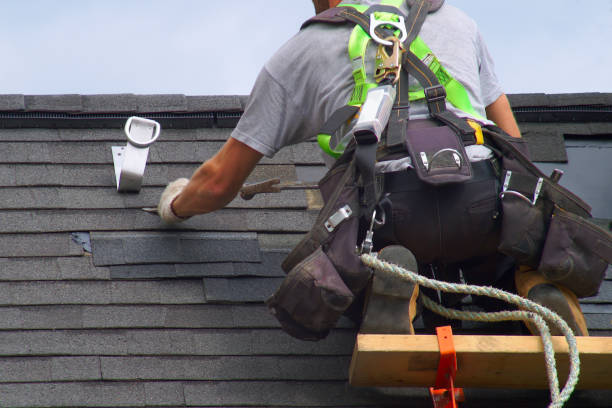 Best Roof Leak Repair  in New Paleste, IN