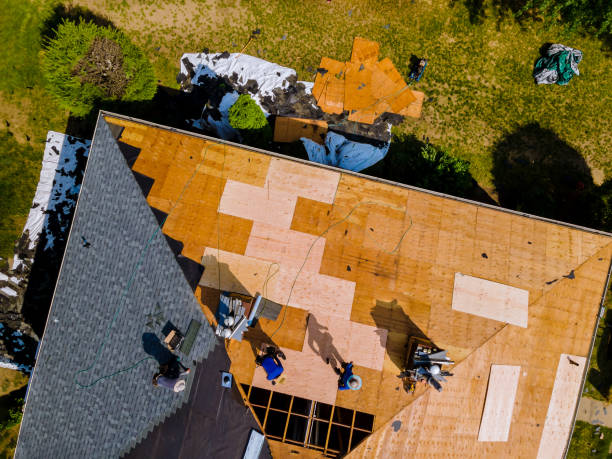 Best Shingle Roofing Installation  in New Paleste, IN