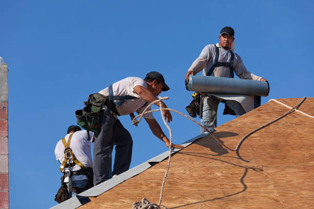 Best Tile Roofing Contractor  in New Paleste, IN