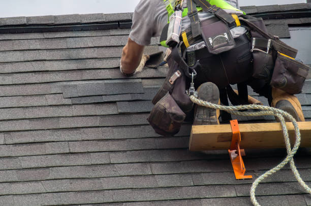 Best Local Roofing Companies  in New Paleste, IN
