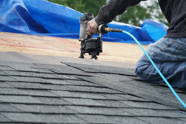 Best Roof Leak Repair  in New Paleste, IN