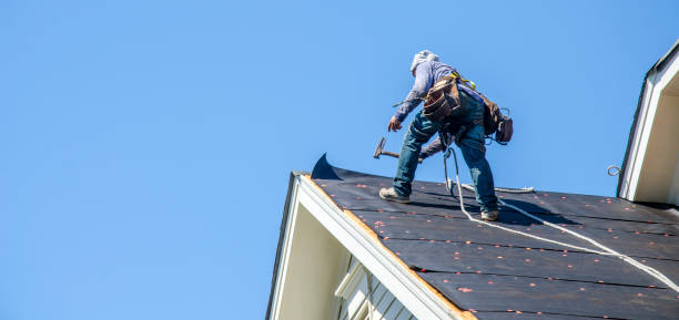 Best Residential Roof Replacement  in New Paleste, IN